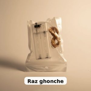 battery-operated decorative string LED light with transparent battery case and warm copper wire leds, packed in clear plastic bag, RAZ GHONCHE