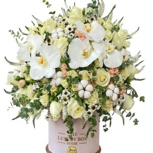 Luxury cream and white flower box with white orchids, roses, cotton stems, and premium mixed flowers in a round suede box on a white background.
